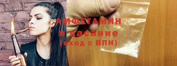 ГАЛЛЮЦИНОГЕННЫЕ ГРИБЫ Богданович